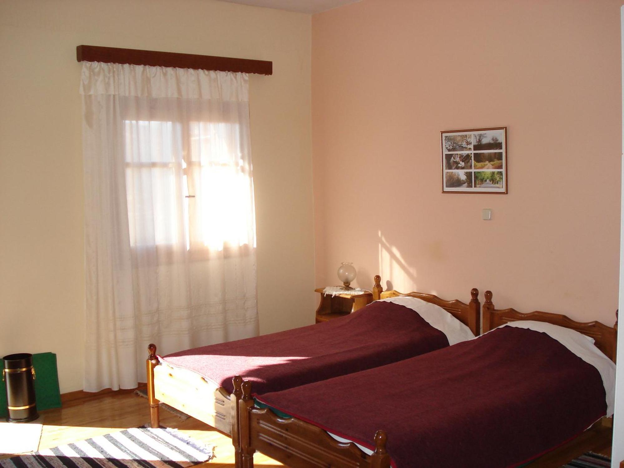Hotel Zephyros à Vitina Extérieur photo