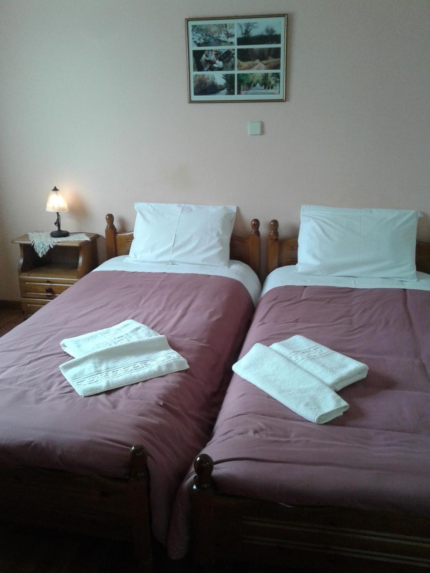 Hotel Zephyros à Vitina Extérieur photo